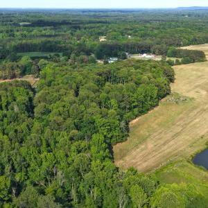 Photo #21 of 6810 Sawyer, Liberty, NC 11.4 acres