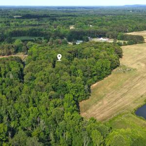 Photo #4 of 6810 Sawyer, Liberty, NC 11.4 acres