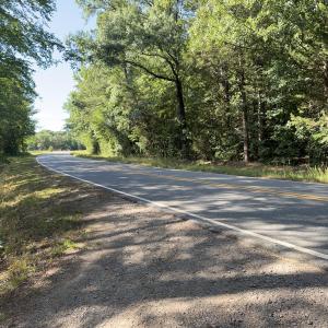 Curved Road Frontage View
