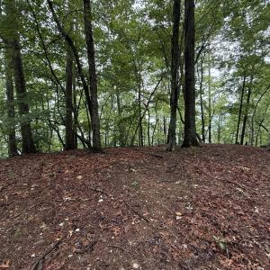 IMG_1763