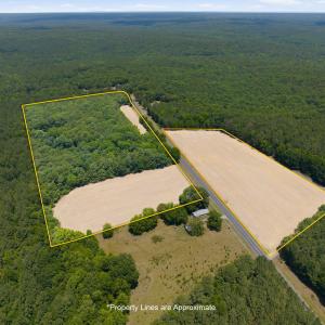 Photo #4 of River, Lillington, NC 33.0 acres