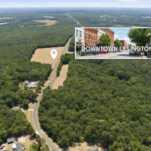 Photo #1 of River, Lillington, NC 33.0 acres
