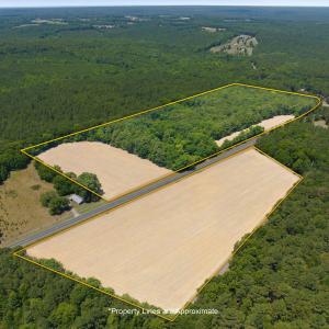 Photo #2 of River, Lillington, NC 33.0 acres