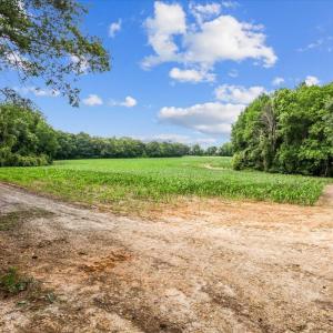 06-7260 Antioch Church Rd-6