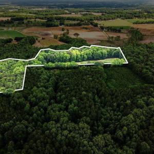 Parcel 3