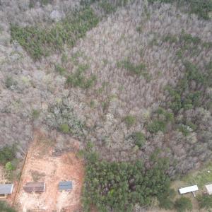 dji_fly_20250320_144858_574_174249655131