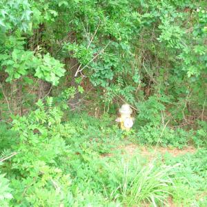 DSC09556