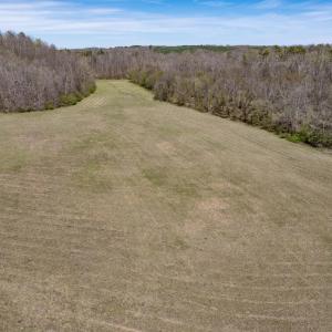 Doll Branch Road 45