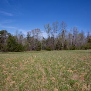 Doll Branch Road 7