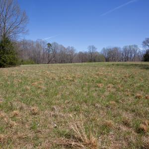 Doll Branch Road 5