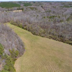 Doll Branch Road 44