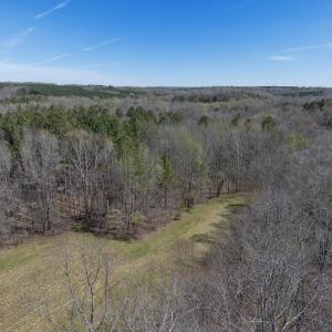 Doll Branch Road 42