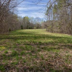 Doll Branch Road 40