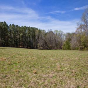Doll Branch Road 4