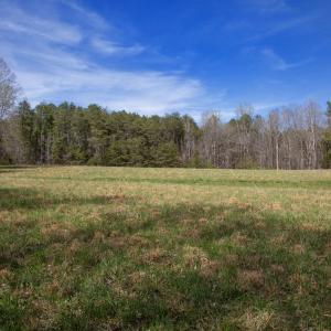 Doll Branch Road 39