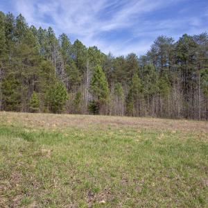 Doll Branch Road 37