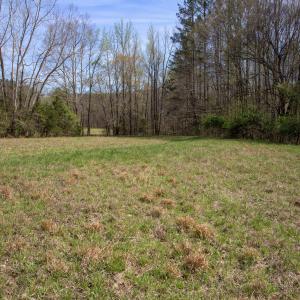 Doll Branch Road 36