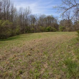 Doll Branch Road 35