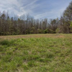 Doll Branch Road 34