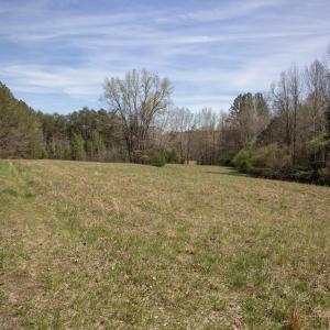 Doll Branch Road 33