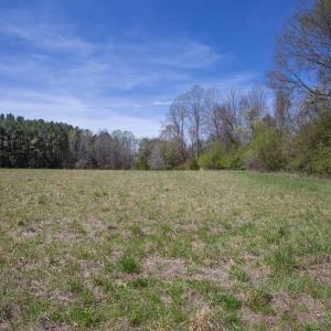 Doll Branch Road 3