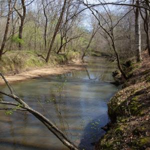 Doll Branch Road 29