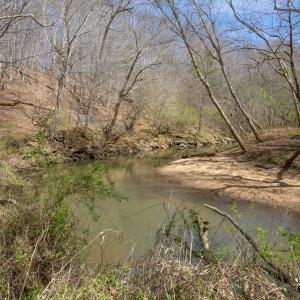 Doll Branch Road 26