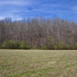 Doll Branch Road 25