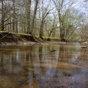 Doll Branch Road 22