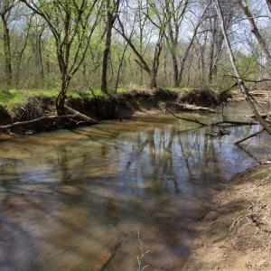 Doll Branch Road 20