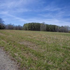 Doll Branch Road 2