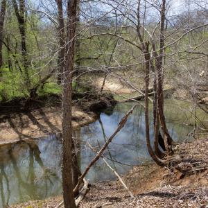 Doll Branch Road 19