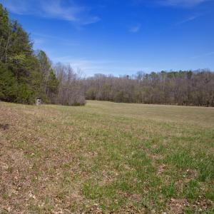 Doll Branch Road 18