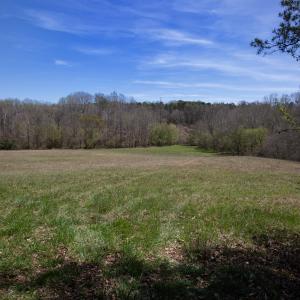 Doll Branch Road 17