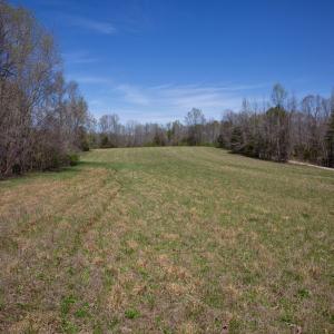 Doll Branch Road 10