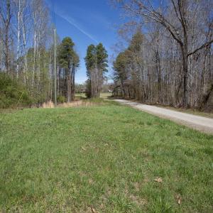 Doll Branch Road 1