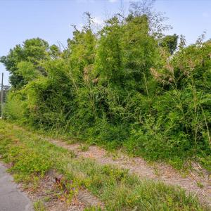 25-5202 Garrett Rd-25