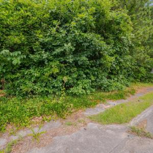 26-5202 Garrett Rd-26