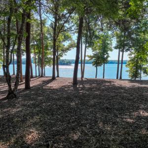 DJI_0478