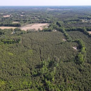 DJI_0788