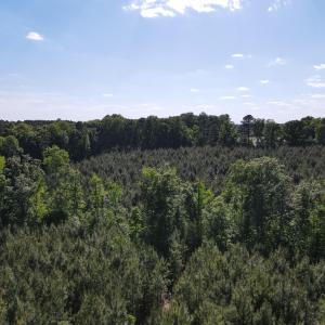 DJI_0793
