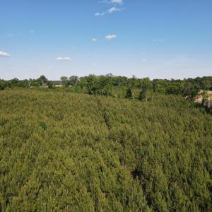 DJI_0794