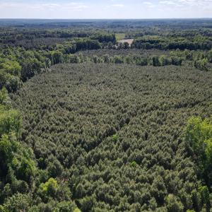 DJI_0796