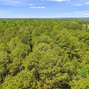 DJI_20260622082449_0621_D