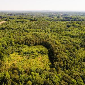 BrokenArrow Drone4_MLS