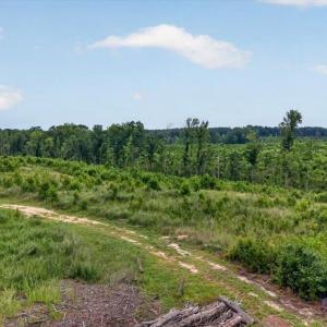 09-DJI_20260629125649_0202_D