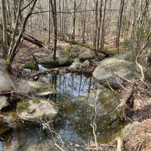 CREEK ON PROPERTY