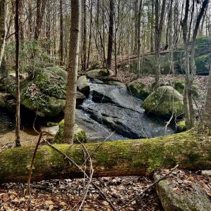 CREEK ON PROPERTY