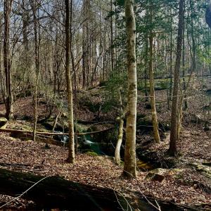 VIEWS ON PROPERTY