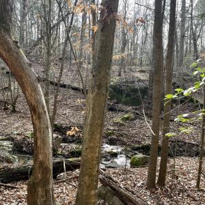 VIEWS ON PROPERTY